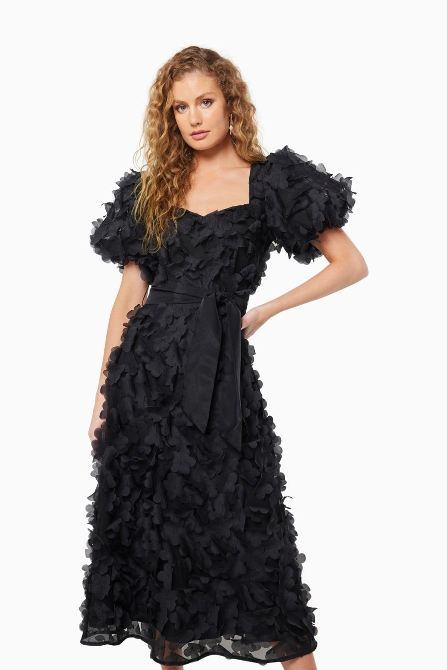 Women Elliatt Wedding Guest | Elliatt Cathy Dress-Black